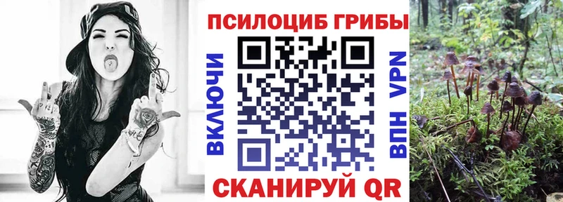 Галлюциногенные грибы Psilocybine cubensis где можно купить Калач